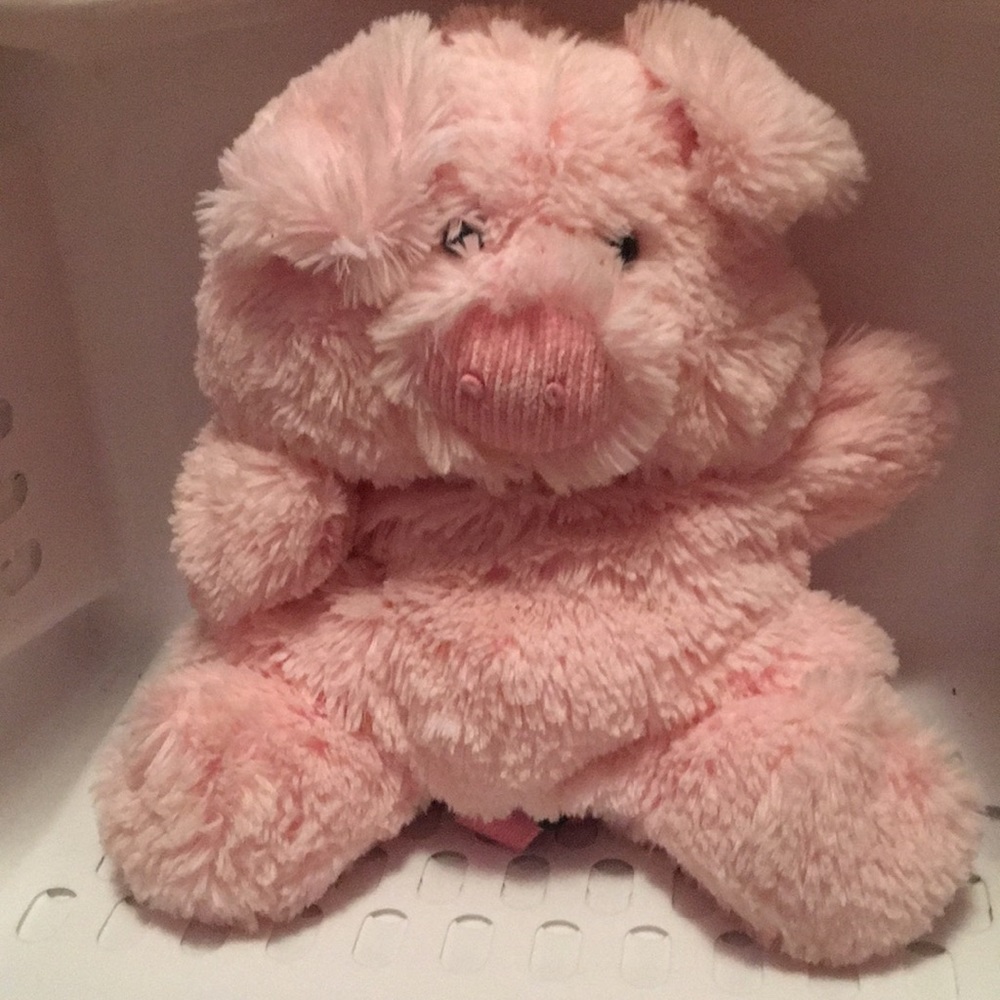 Stuffed piggy back pack